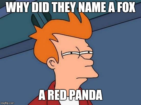 Futurama Fry Meme | WHY DID THEY NAME A FOX; A RED PANDA | image tagged in memes,futurama fry | made w/ Imgflip meme maker