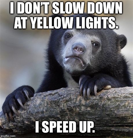 Confession Bear Meme | I DON’T SLOW DOWN AT YELLOW LIGHTS. I SPEED UP. | image tagged in memes,confession bear,AdviceAnimals | made w/ Imgflip meme maker