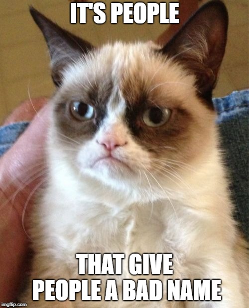 Yes, I'm talking to you.... | IT'S PEOPLE; THAT GIVE PEOPLE A BAD NAME | image tagged in memes,grumpy cat,stupid people | made w/ Imgflip meme maker