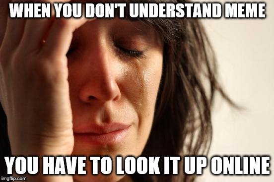 First World Problems | WHEN YOU DON'T UNDERSTAND MEME; YOU HAVE TO LOOK IT UP ONLINE | image tagged in memes,first world problems | made w/ Imgflip meme maker