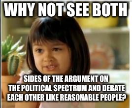 Make America Reasonable Again! This goes for both parties BTW. | WHY NOT SEE BOTH; SIDES OF THE ARGUMENT ON THE POLITICAL SPECTRUM AND DEBATE EACH OTHER LIKE REASONABLE PEOPLE? | image tagged in why not both,america,democrats,republicans,debate | made w/ Imgflip meme maker
