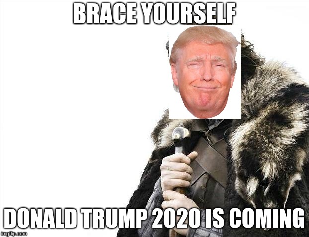 Brace Yourselves X is Coming | BRACE YOURSELF; DONALD TRUMP 2020 IS COMING | image tagged in memes,brace yourselves x is coming | made w/ Imgflip meme maker