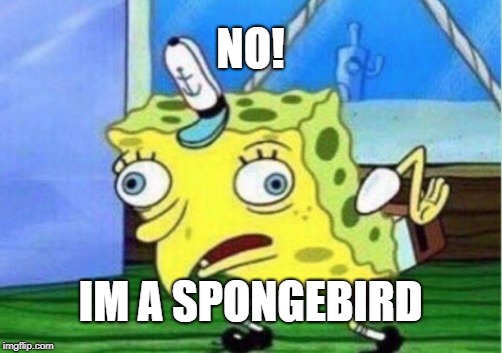 Mocking Spongebob Meme | NO! IM A SPONGEBIRD | image tagged in memes,mocking spongebob | made w/ Imgflip meme maker