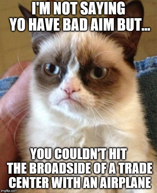 Too far? Too soon? | I'M NOT SAYING YO HAVE BAD AIM BUT... YOU COULDN'T HIT THE BROADSIDE OF A TRADE CENTER WITH AN AIRPLANE | image tagged in memes,grumpy cat,9/11 | made w/ Imgflip meme maker