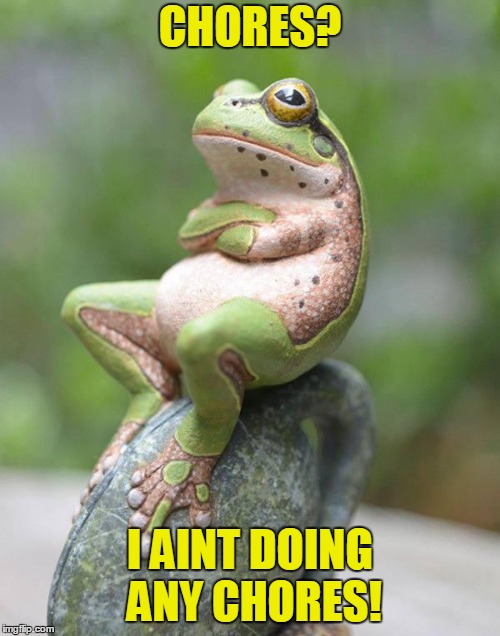 Smug Frog | CHORES? I AINT DOING ANY CHORES! | image tagged in smug frog | made w/ Imgflip meme maker