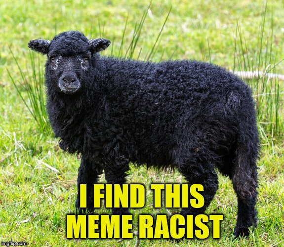 I FIND THIS MEME RACIST | made w/ Imgflip meme maker