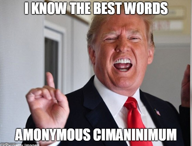 I know the best words | I KNOW THE BEST WORDS; AMONYMOUS CIMANINIMUM | image tagged in trump,donald trump,douche,political meme,dick pic,republican | made w/ Imgflip meme maker