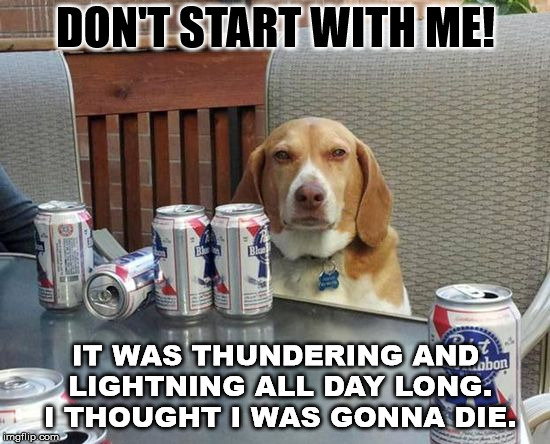 dog beer | DON'T START WITH ME! IT WAS THUNDERING AND LIGHTNING ALL DAY LONG. I THOUGHT I WAS GONNA DIE. | image tagged in dog beer | made w/ Imgflip meme maker