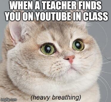 Heavy Breathing Cat Meme | WHEN A TEACHER FINDS YOU ON YOUTUBE IN CLASS | image tagged in memes,heavy breathing cat | made w/ Imgflip meme maker