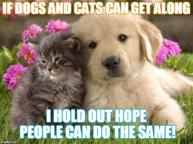 Can't we all just get along? | IF DOGS AND CATS CAN GET ALONG; I HOLD OUT HOPE PEOPLE CAN DO THE SAME! | image tagged in puppies and kittens,people are people | made w/ Imgflip meme maker