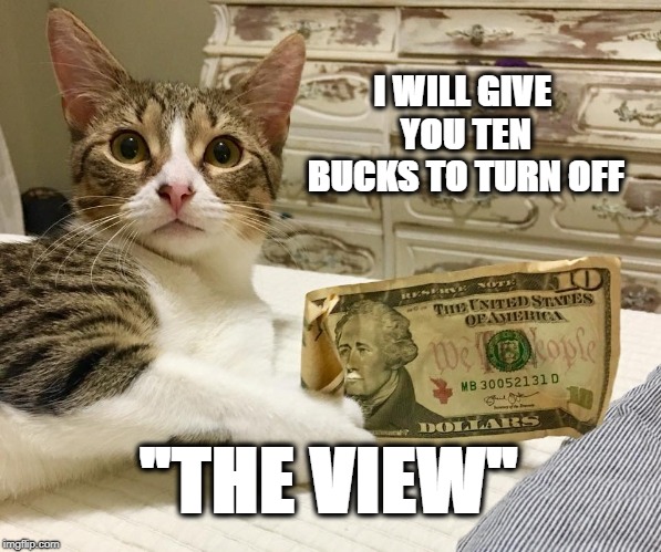 Turn Off "The View" | I WILL GIVE YOU TEN BUCKS TO TURN OFF; "THE VIEW" | image tagged in funny cats,cats,funny animals,memes,television | made w/ Imgflip meme maker