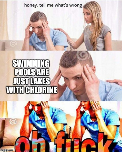 honey, tell me what's wrong | SWIMMING POOLS ARE JUST LAKES WITH CHLORINE | image tagged in memes,funny,swimming pool,lake,honey tell me what's wrong | made w/ Imgflip meme maker
