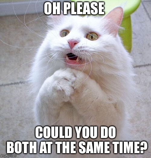 Begging Cat | OH PLEASE COULD YOU DO BOTH AT THE SAME TIME? | image tagged in begging cat | made w/ Imgflip meme maker