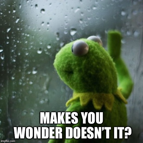 sometimes I wonder  | MAKES YOU WONDER DOESN’T IT? | image tagged in sometimes i wonder | made w/ Imgflip meme maker