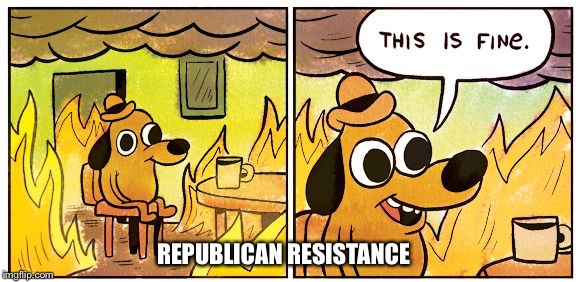 This Is Fine Meme | REPUBLICAN RESISTANCE | image tagged in this is fine dog | made w/ Imgflip meme maker