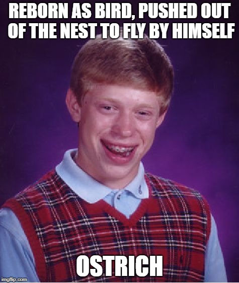 Bad Luck Brian | REBORN AS BIRD, PUSHED OUT OF THE NEST TO FLY BY HIMSELF; OSTRICH | image tagged in memes,bad luck brian | made w/ Imgflip meme maker