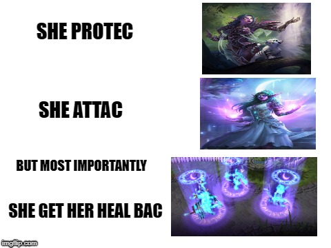 Protec | SHE PROTEC; SHE ATTAC; BUT MOST IMPORTANTLY; SHE GET HER HEAL BAC | image tagged in he protec,heroes of the storm,wow | made w/ Imgflip meme maker