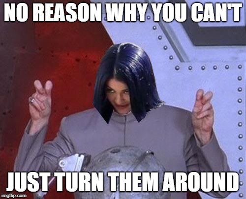 Dr Evil Mima | NO REASON WHY YOU CAN'T JUST TURN THEM AROUND | image tagged in dr evil mima | made w/ Imgflip meme maker