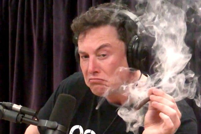 Elon musk blunt weed Blank Meme Template