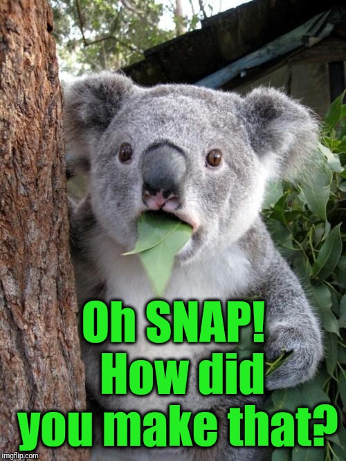 Surprised Koala Meme | Oh SNAP!  How did you make that? | image tagged in memes,surprised koala | made w/ Imgflip meme maker
