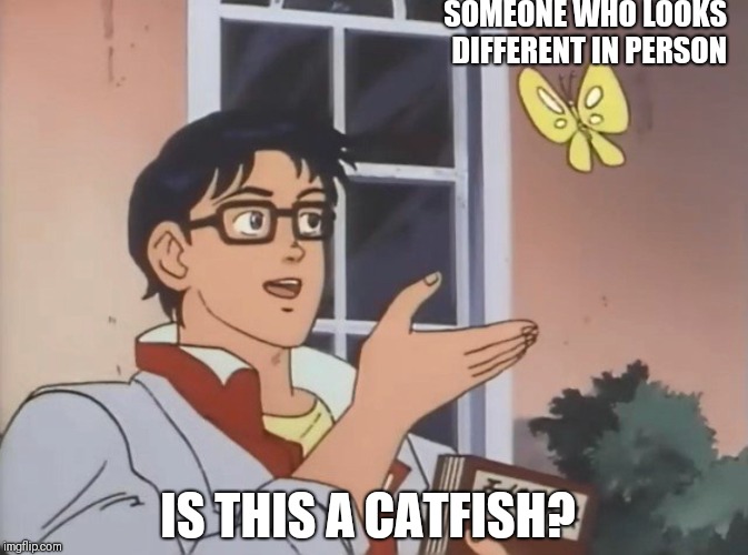 Is this a bird? | SOMEONE WHO LOOKS DIFFERENT IN PERSON; IS THIS A CATFISH? | image tagged in is this a bird | made w/ Imgflip meme maker