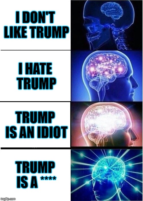 Trump Hater's Brain | I DON'T LIKE TRUMP; I HATE TRUMP; TRUMP IS AN IDIOT; TRUMP IS A **** | image tagged in memes,expanding brain | made w/ Imgflip meme maker