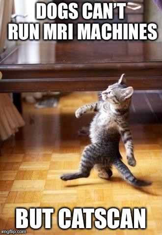 Bad Pun Cool Cat Stroll | DOGS CAN’T RUN MRI MACHINES; BUT CATSCAN | image tagged in memes,cool cat stroll | made w/ Imgflip meme maker