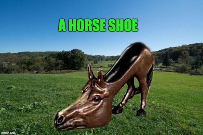 a horse shoe | A HORSE SHOE | image tagged in horse shoe,photoshop | made w/ Imgflip meme maker