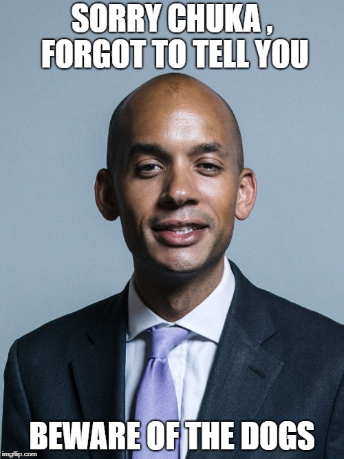 Chuka Ummuna | SORRY CHUKA , FORGOT TO TELL YOU; BEWARE OF THE DOGS | image tagged in politics | made w/ Imgflip meme maker