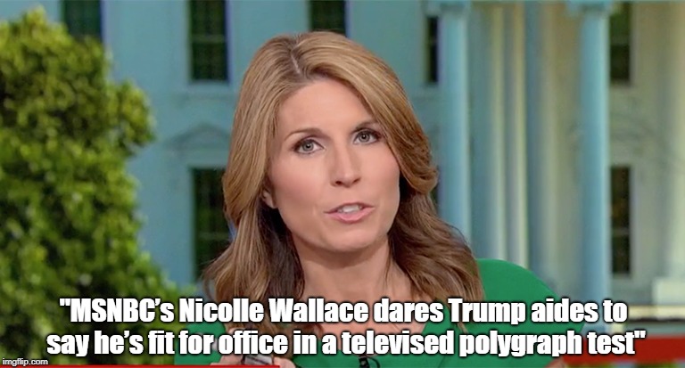 "Nicolle Wallace Dares Trump Aides To Say He's Fit For Office In A Televised Polygraph Test" | "MSNBCÃ¢â‚¬â„¢s Nicolle Wallace dares Trump aides to say heÃ¢â‚¬â„¢s fit for office in a televised polygraph test" | image tagged in deplorable donald,trump,devious donald,despicable donald,dishonorable donald,dishonest donald | made w/ Imgflip meme maker