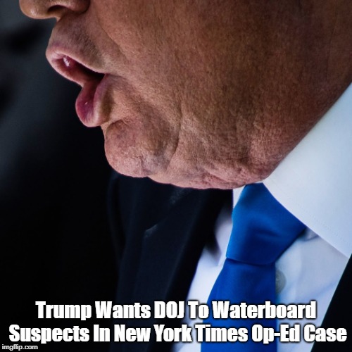 "Trump Wants To Waterboard Suspects In New York Times Op-Ed Case" | Trump Wants DOJ To Waterboard Suspects In New York Times Op-Ed Case | image tagged in the news that should have been,fake news can be truer than true,trump,waterboard | made w/ Imgflip meme maker