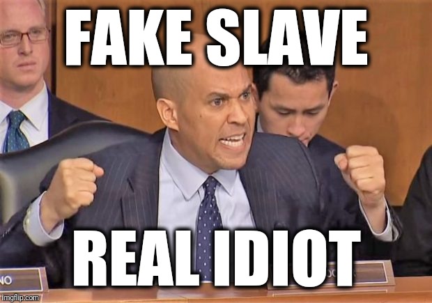 Who even believes that kind of crap? | FAKE SLAVE; REAL IDIOT | image tagged in memes,cory booker,spartacus | made w/ Imgflip meme maker