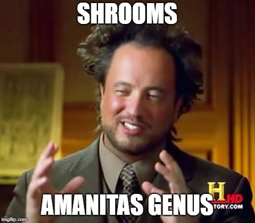 Ancient Aliens Meme | SHROOMS AMANITAS GENUS | image tagged in memes,ancient aliens | made w/ Imgflip meme maker