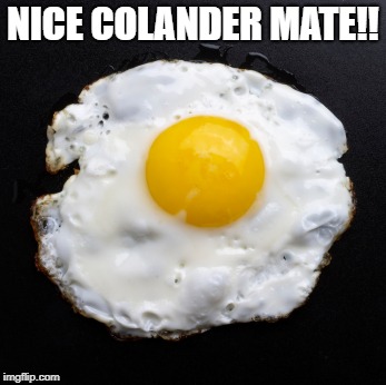 Eggs | NICE COLANDER MATE!! | image tagged in eggs | made w/ Imgflip meme maker