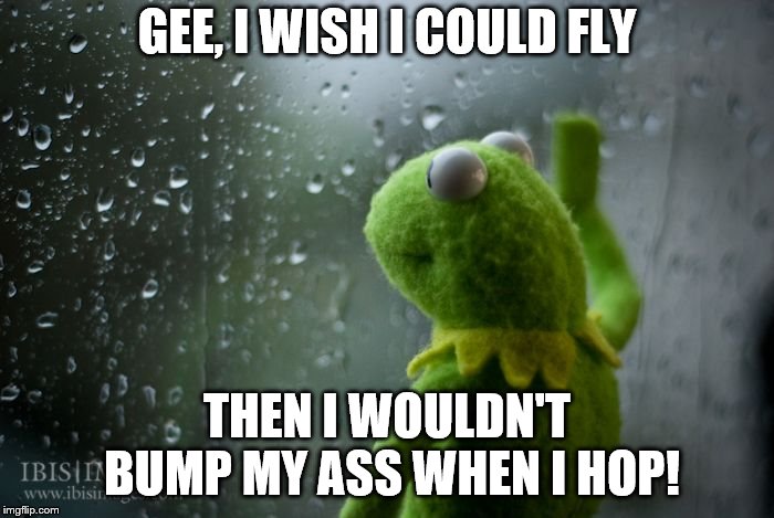 Wish in one hand and ...well, you know..... | GEE, I WISH I COULD FLY; THEN I WOULDN'T BUMP MY ASS WHEN I HOP! | image tagged in kermit window,memes,inspirational memes | made w/ Imgflip meme maker