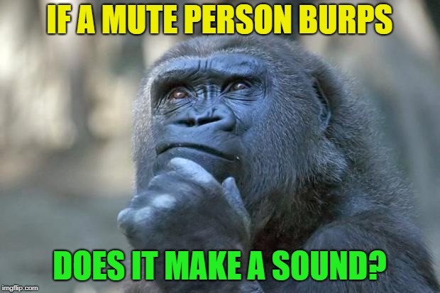 Question of the day | IF A MUTE PERSON BURPS; DOES IT MAKE A SOUND? | image tagged in that is the question,memes,funny,burp | made w/ Imgflip meme maker