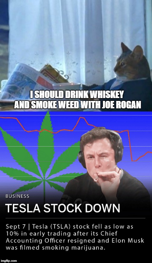 Up in smoke | I SHOULD DRINK WHISKEY AND SMOKE WEED WITH JOE ROGAN | image tagged in elon musk | made w/ Imgflip meme maker
