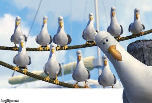 Finding Nemo Seagulls | image tagged in finding nemo seagulls | made w/ Imgflip meme maker