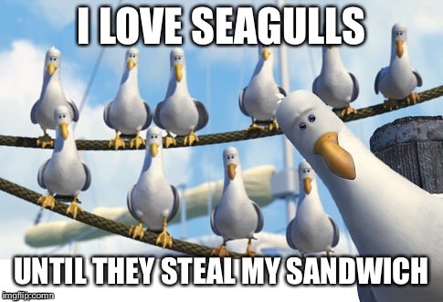 I LOVE SEAGULLS UNTIL THEY STEAL MY SANDWICH | made w/ Imgflip meme maker