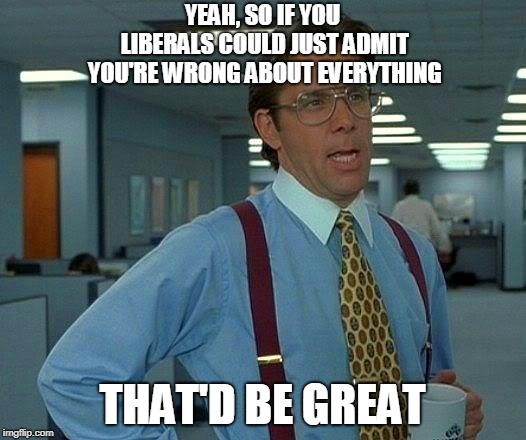That Would Be Great Meme | YEAH, SO IF YOU LIBERALS COULD JUST ADMIT YOU'RE WRONG ABOUT EVERYTHING; THAT'D BE GREAT | image tagged in memes,that would be great | made w/ Imgflip meme maker