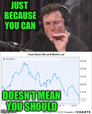 Attention future CEOs........ | JUST BECAUSE YOU CAN; DOESN’T MEAN YOU SHOULD | image tagged in elon musk,tesla stock,smoking a blunt,what were you thinking | made w/ Imgflip meme maker