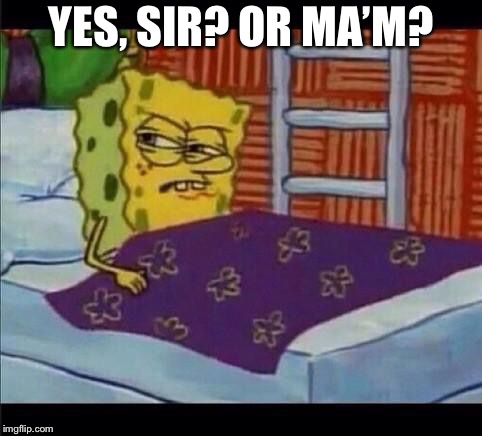 SpongeBob waking up  | YES, SIR? OR MA’M? | image tagged in spongebob waking up | made w/ Imgflip meme maker