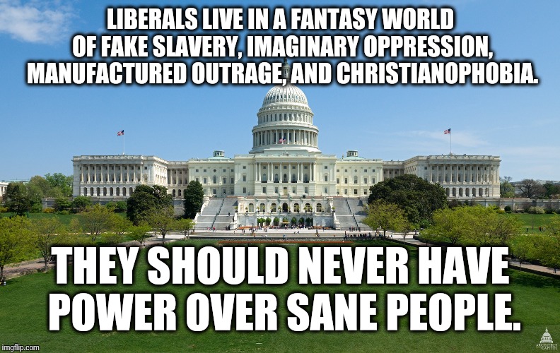 Liberals... | LIBERALS LIVE IN A FANTASY WORLD OF FAKE SLAVERY, IMAGINARY OPPRESSION, MANUFACTURED OUTRAGE, AND CHRISTIANOPHOBIA. THEY SHOULD NEVER HAVE POWER OVER SANE PEOPLE. | image tagged in memes,liberals | made w/ Imgflip meme maker