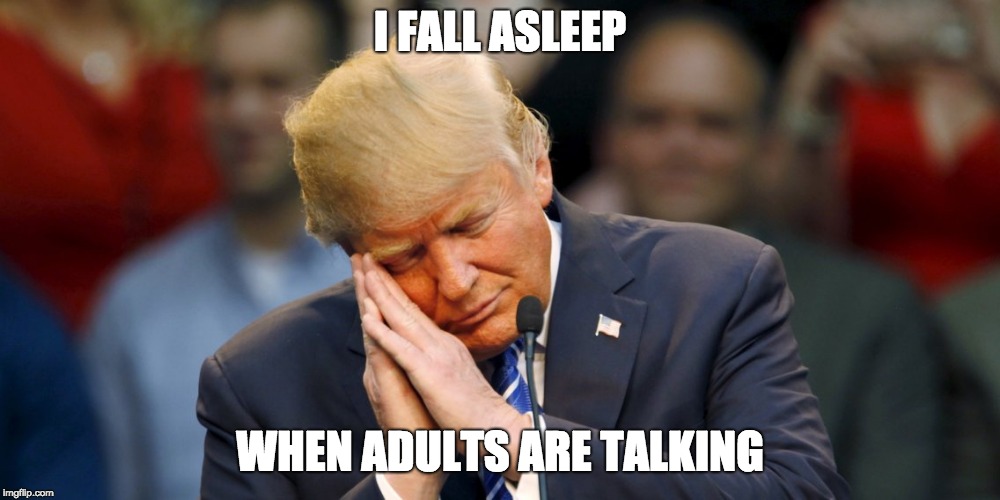 I FALL ASLEEP WHEN ADULTS ARE TALKING | image tagged in trumpsleep | made w/ Imgflip meme maker