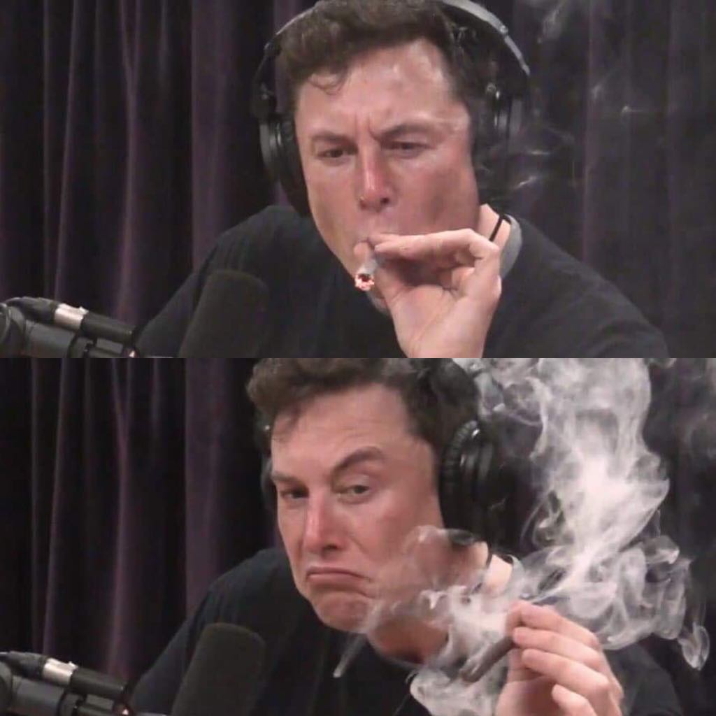 High Quality Elon Musk Weed Blank Meme Template