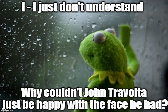 The world can sometimes be a sad place | I - I just don't understand; Why couldn't John Travolta just be happy with the face he had? | image tagged in kermit window | made w/ Imgflip meme maker