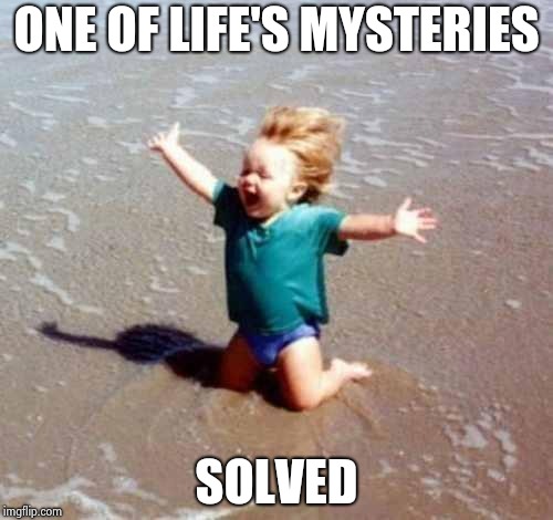 Celebration | ONE OF LIFE'S MYSTERIES SOLVED | image tagged in celebration | made w/ Imgflip meme maker