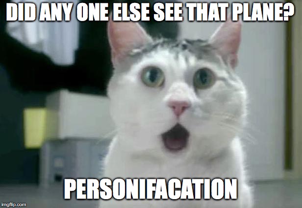 OMG Cat | DID ANY ONE ELSE SEE THAT PLANE? PERSONIFACATION | image tagged in memes,omg cat | made w/ Imgflip meme maker