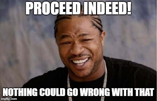 PROCEED INDEED! NOTHING COULD GO WRONG WITH THAT | image tagged in memes,yo dawg heard you | made w/ Imgflip meme maker