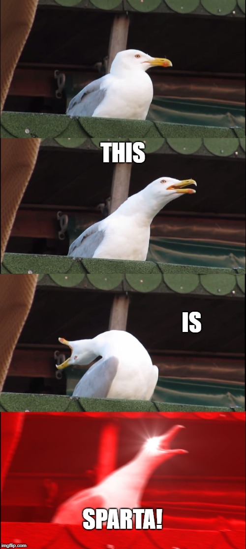 Inhaling Seagull Meme | THIS; IS; SPARTA! | image tagged in memes,inhaling seagull | made w/ Imgflip meme maker
